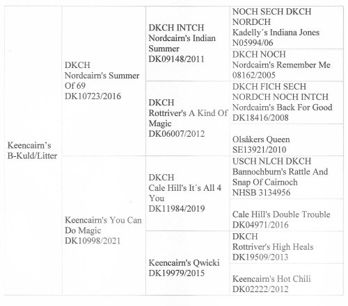 Stamtavle B kuld 2024